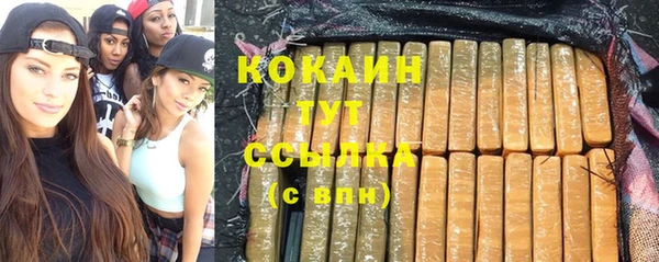 спиды Гатчина