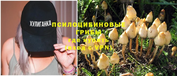 винт Рославль
