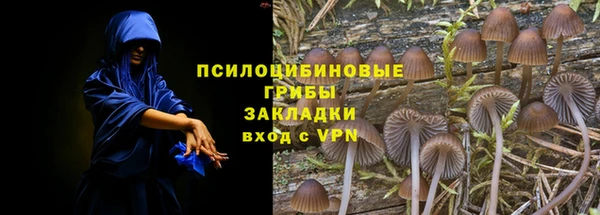 спиды Гатчина