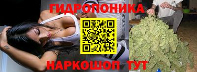 альфа пвп Кандалакша