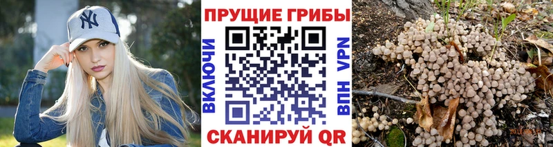 Галлюциногенные грибы мицелий  Сухой Лог 