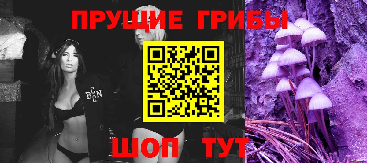 Галлюциногенные грибы Psilocybe  Вход с VPN  Псилоцибиновые грибы Magic Shrooms  Сухой Лог 